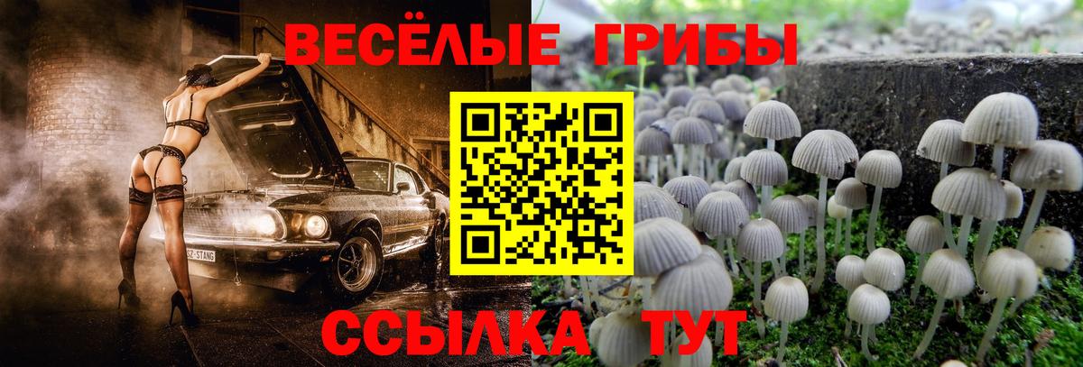 Коряжма  Галлюциногенные грибы Psilocybe  Псилоцибиновые грибы Cubensis  где купить наркоту  Вход с VPN 
